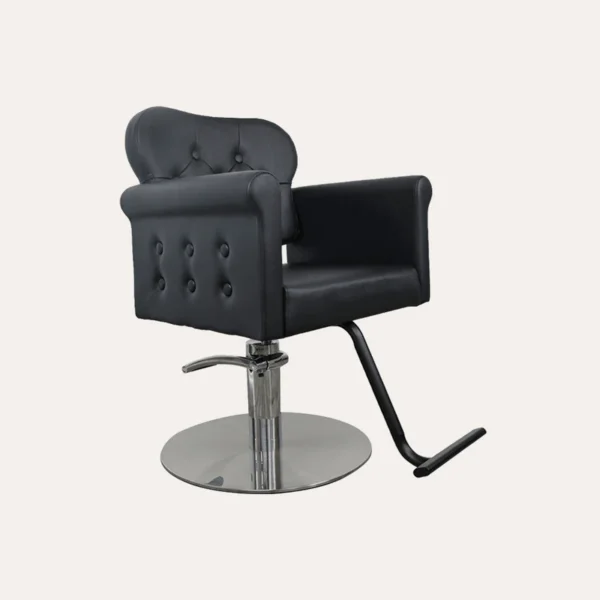 Beauty Salon Chairs