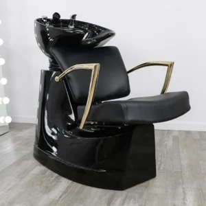 portable shampoo bowl with chair